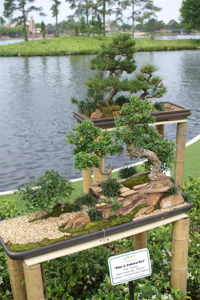 International Flower and Garden Festival