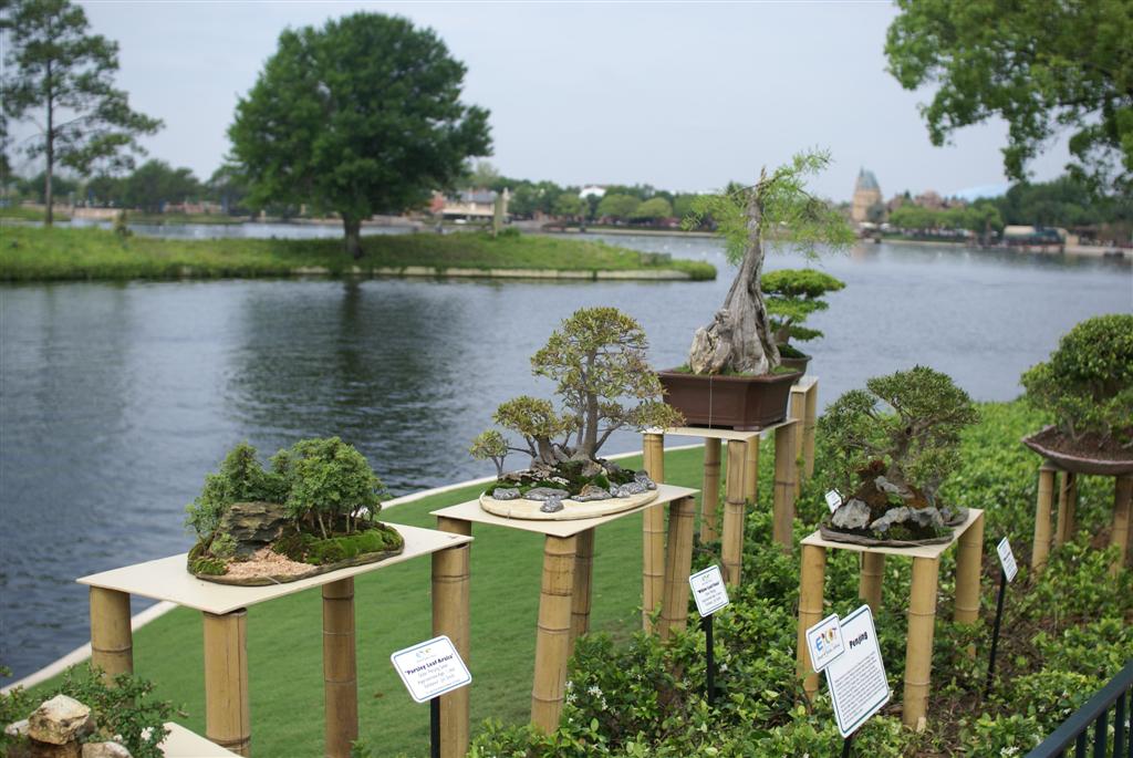 International Flower and Garden Festival