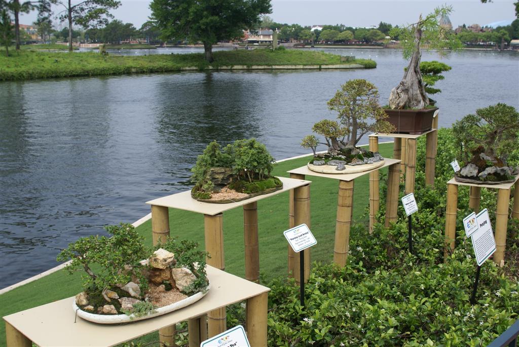 International Flower and Garden Festival