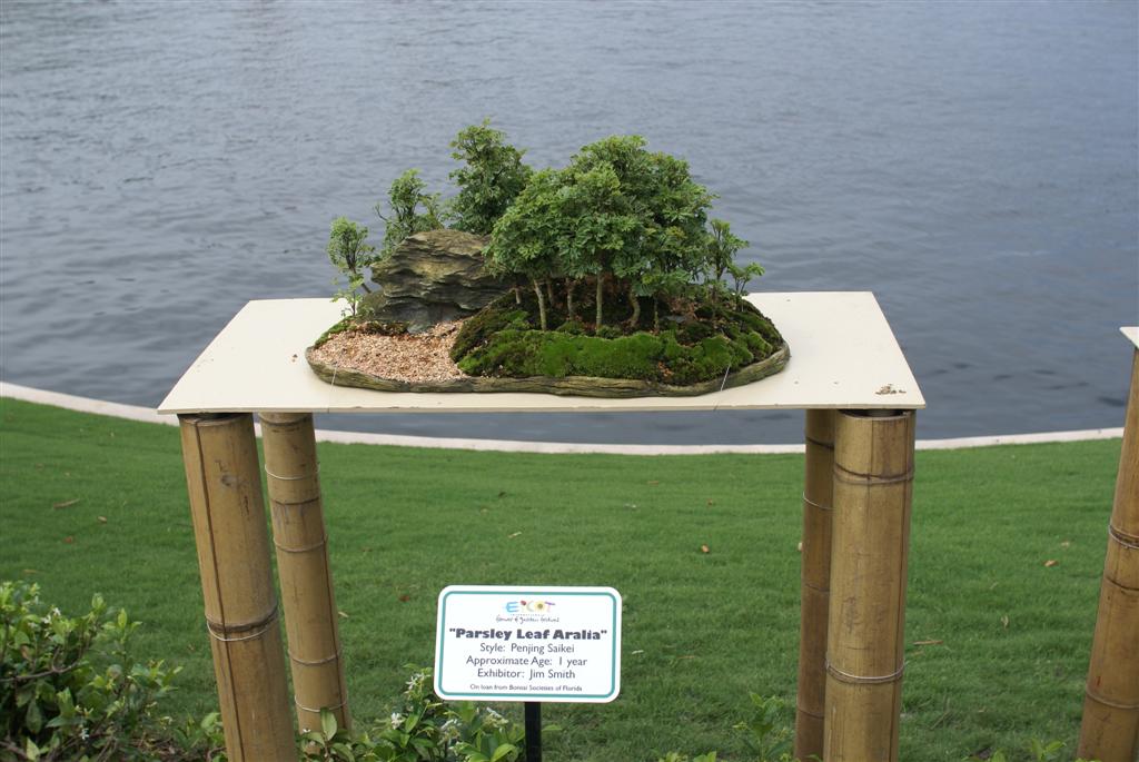 International Flower and Garden Festival