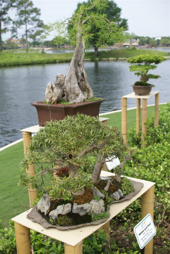 International Flower and Garden Festival
