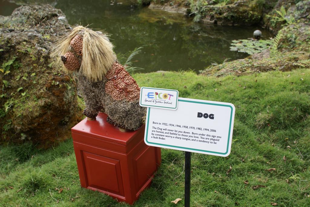 International Flower and Garden Festival