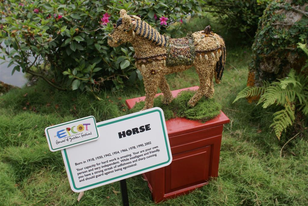 International Flower and Garden Festival