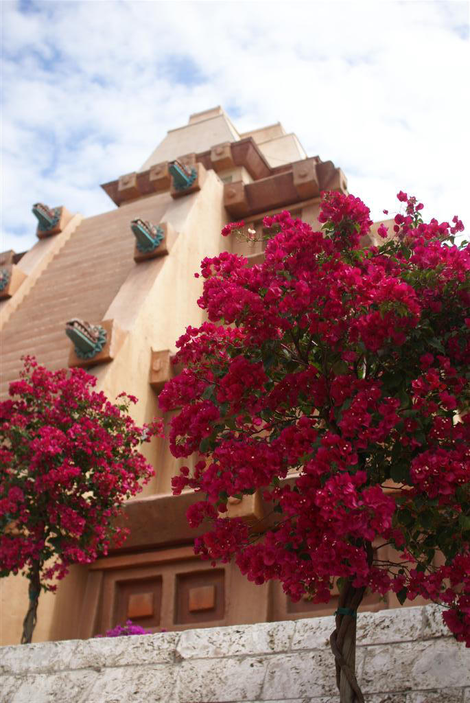 International Flower and Garden Festival