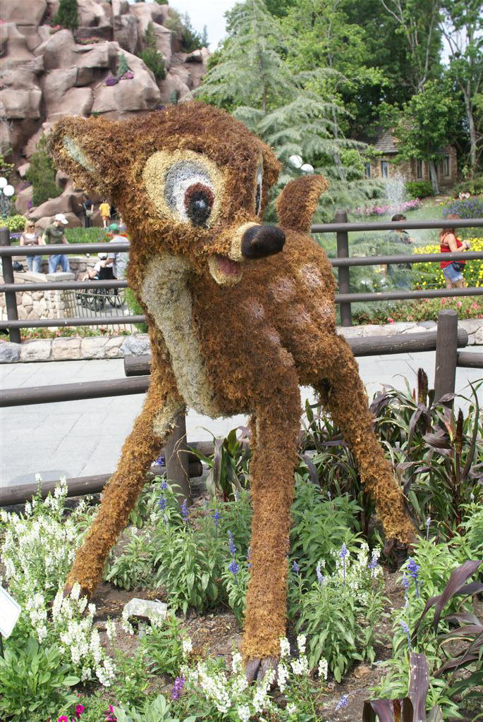 International Flower and Garden Festival