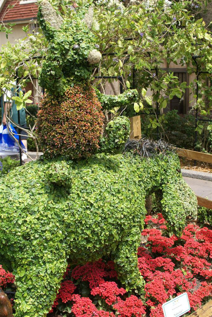 International Flower and Garden Festival
