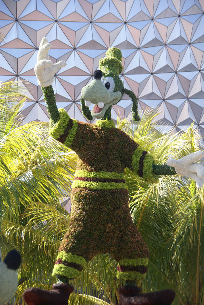 International Flower and Garden Festival