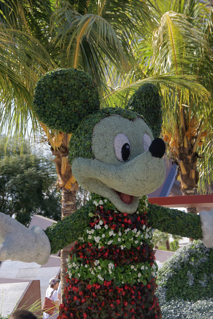International Flower and Garden Festival