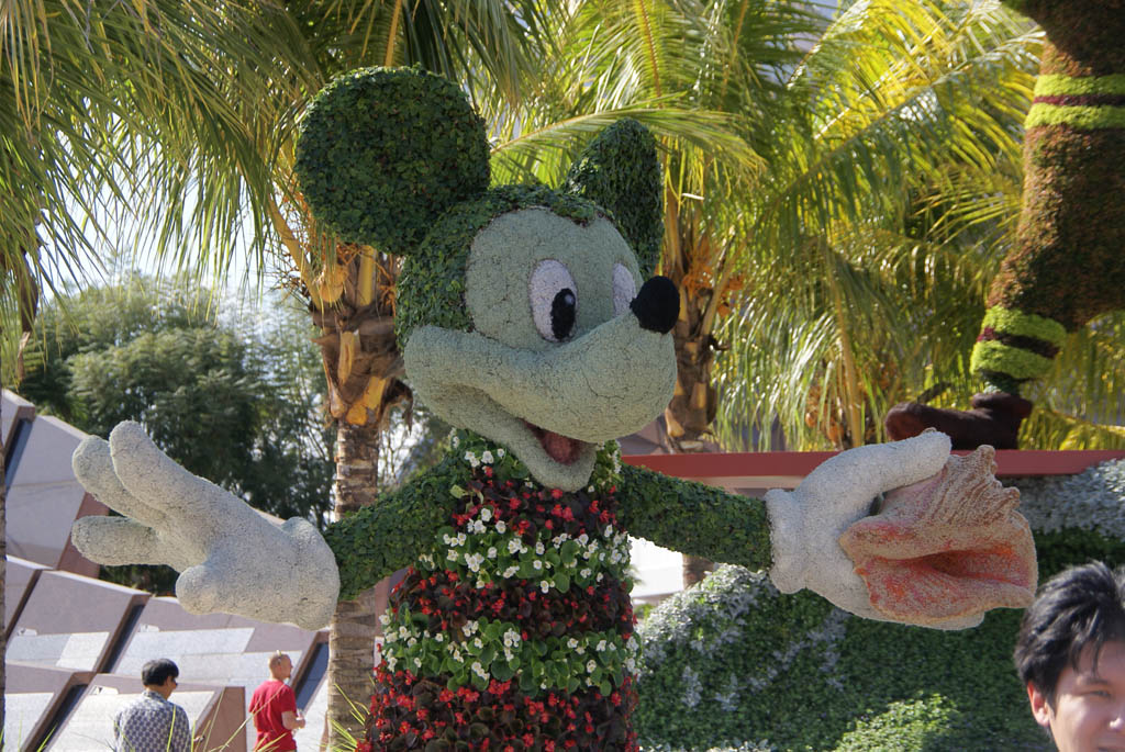International Flower and Garden Festival