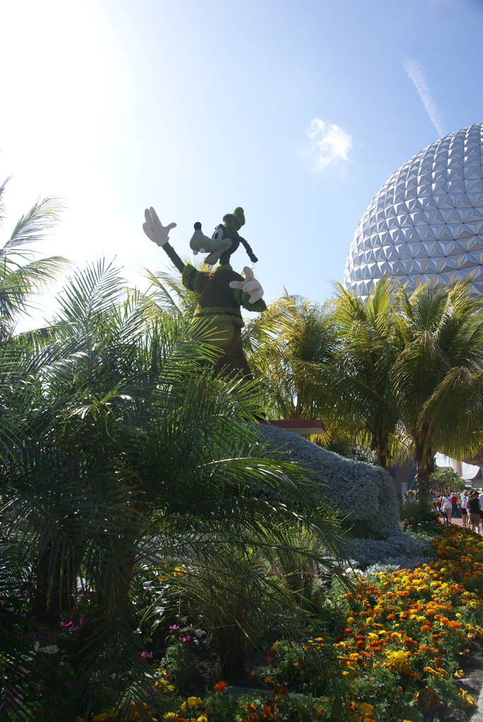 International Flower and Garden Festival