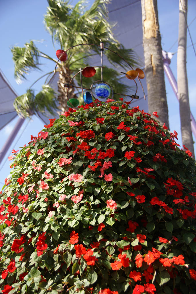 International Flower and Garden Festival