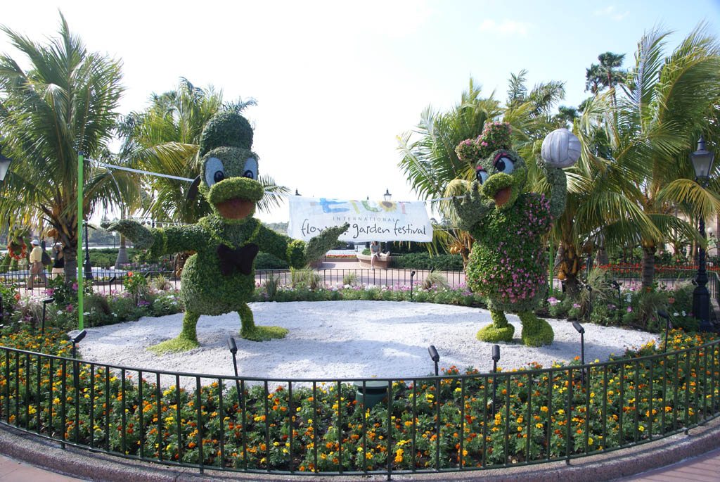 International Flower and Garden Festival
