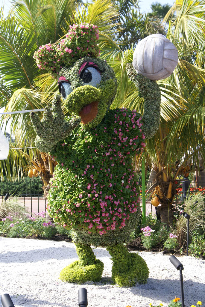 International Flower and Garden Festival