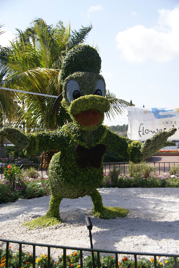 International Flower and Garden Festival