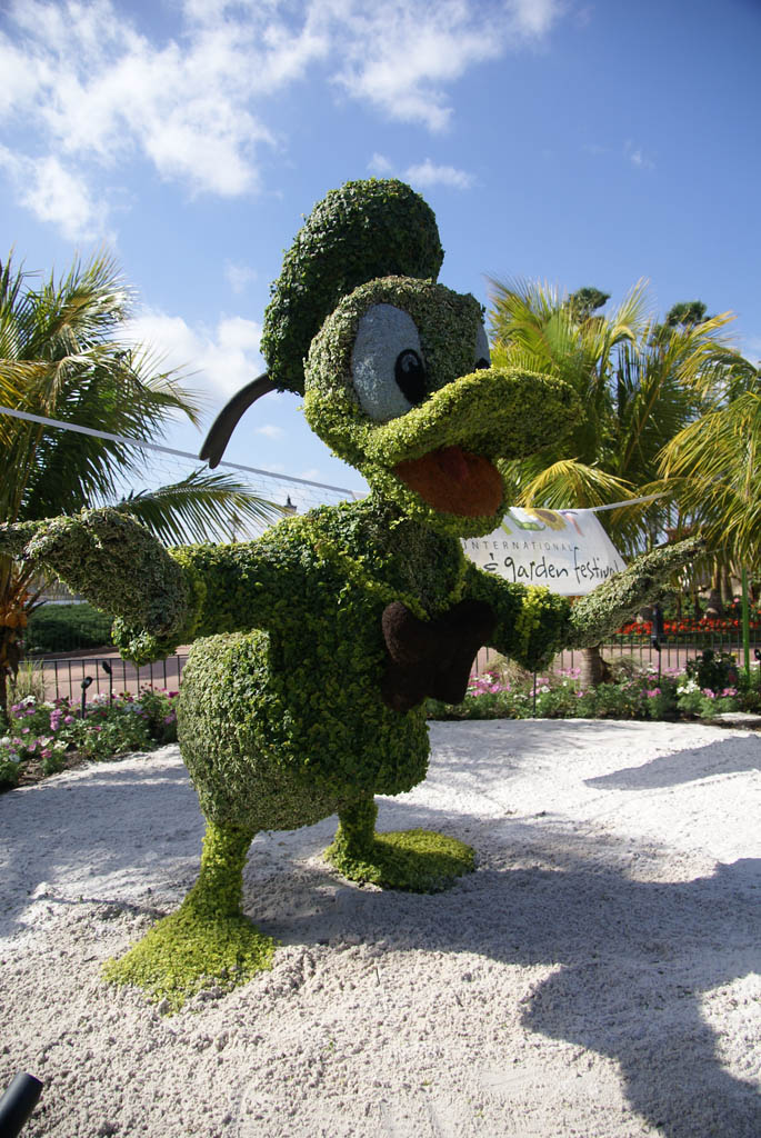 International Flower and Garden Festival