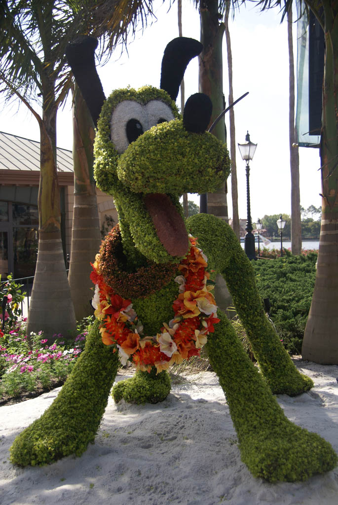 International Flower and Garden Festival