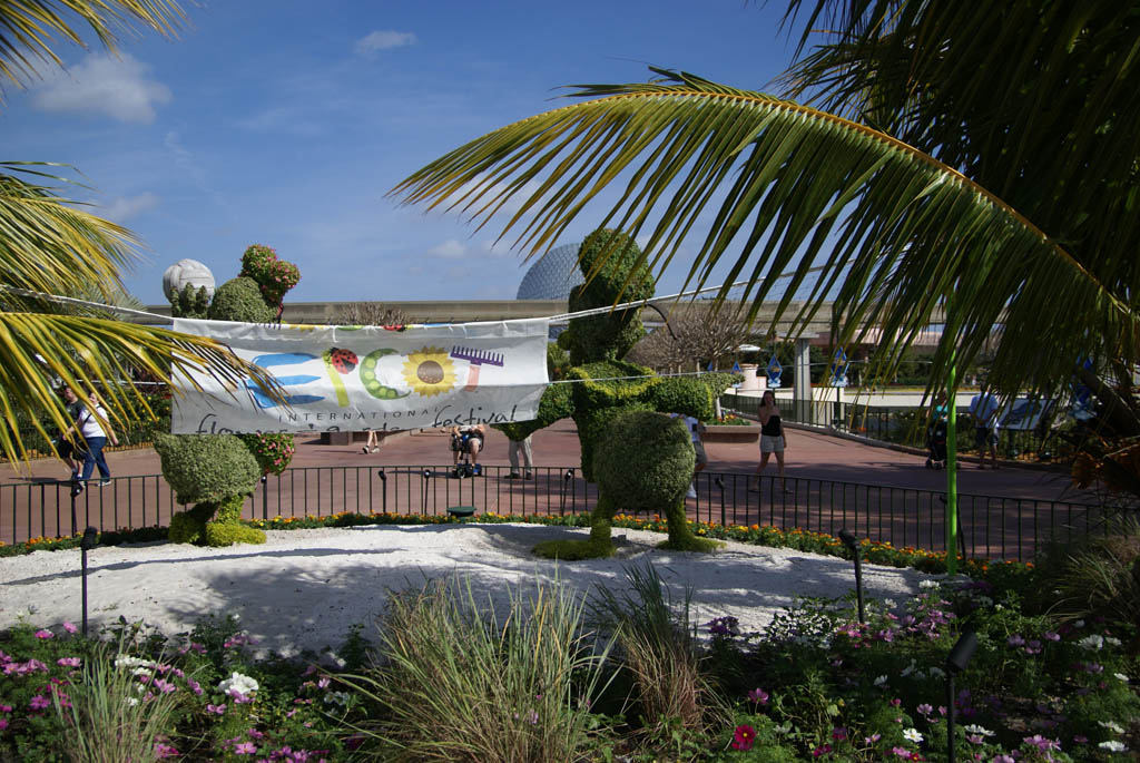 International Flower and Garden Festival