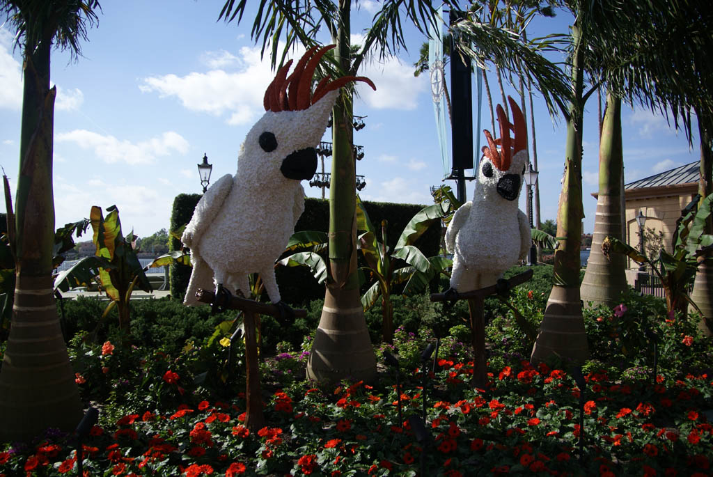 International Flower and Garden Festival