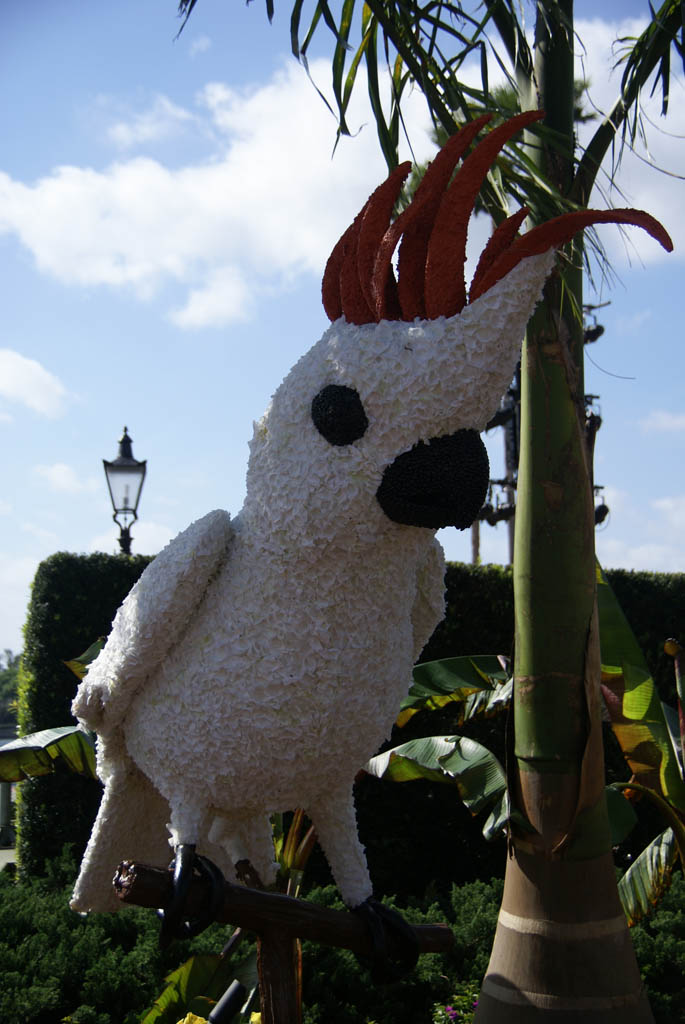 International Flower and Garden Festival