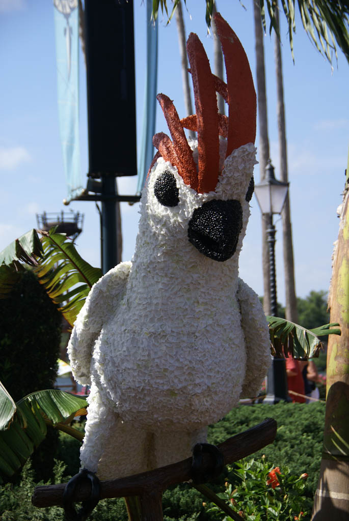 International Flower and Garden Festival