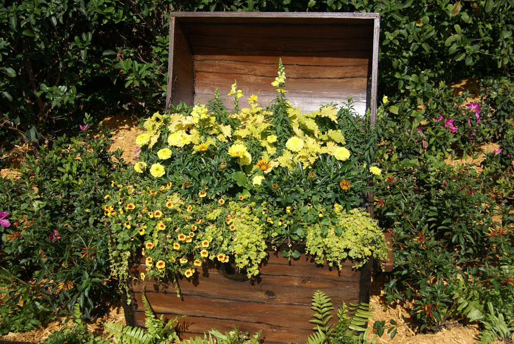 International Flower and Garden Festival
