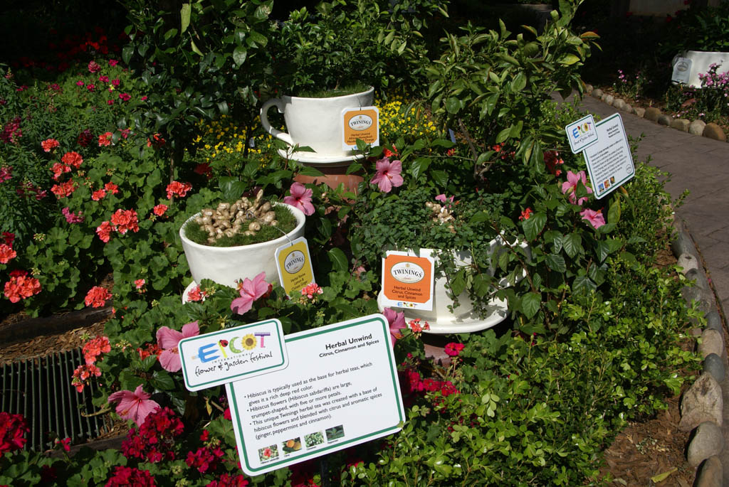 International Flower and Garden Festival