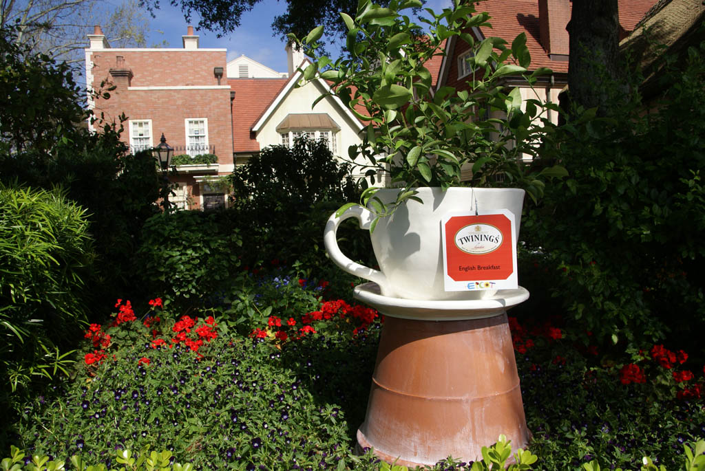 International Flower and Garden Festival