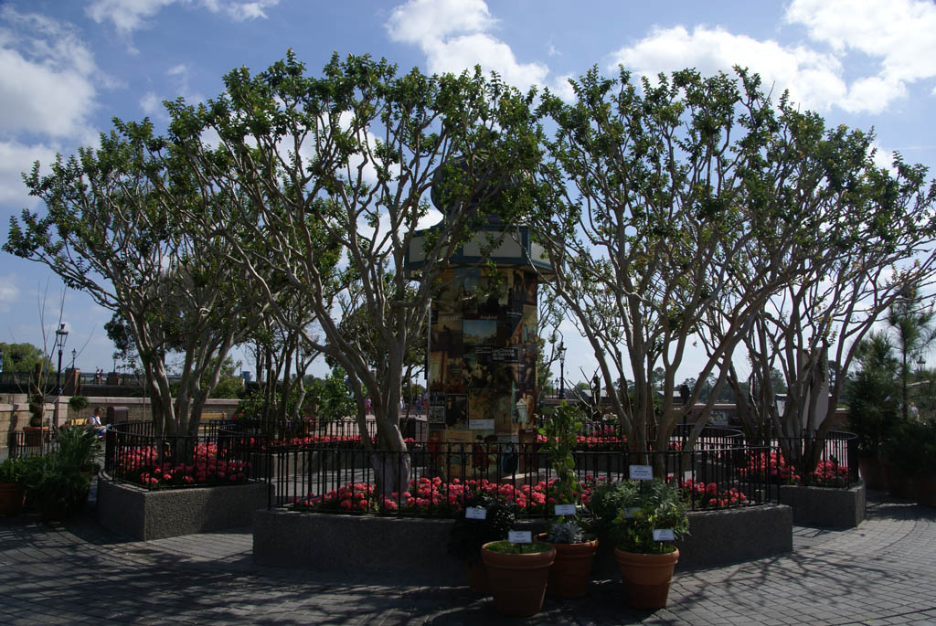 International Flower and Garden Festival