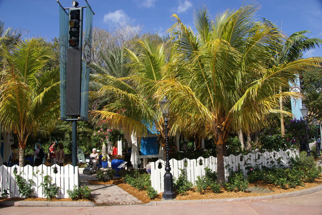 International Flower and Garden Festival
