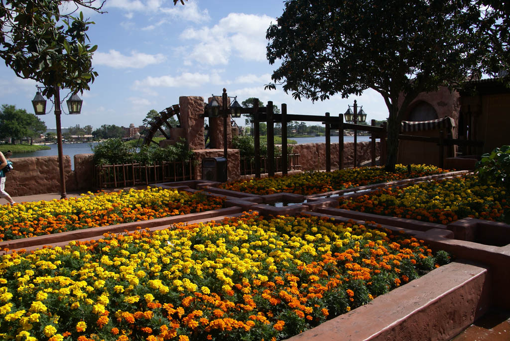 International Flower and Garden Festival