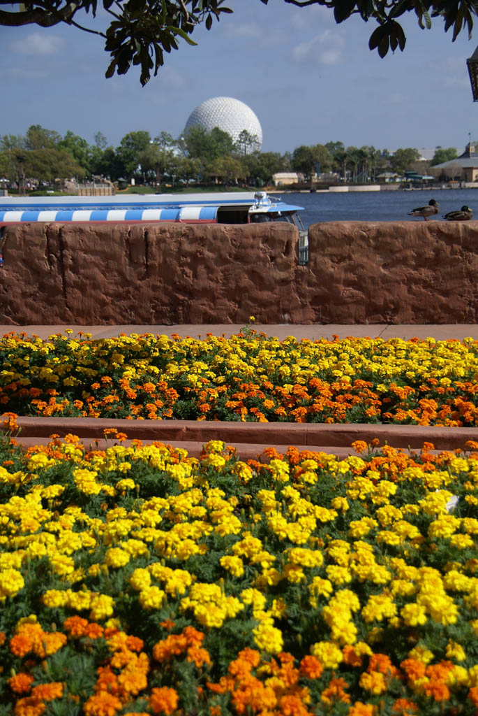 International Flower and Garden Festival