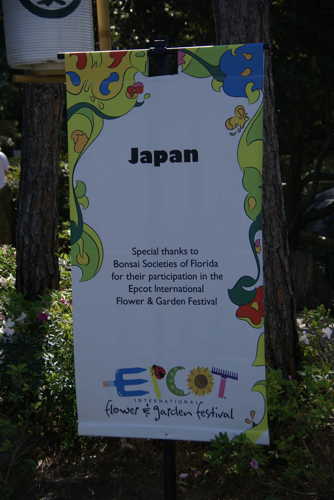 International Flower and Garden Festival