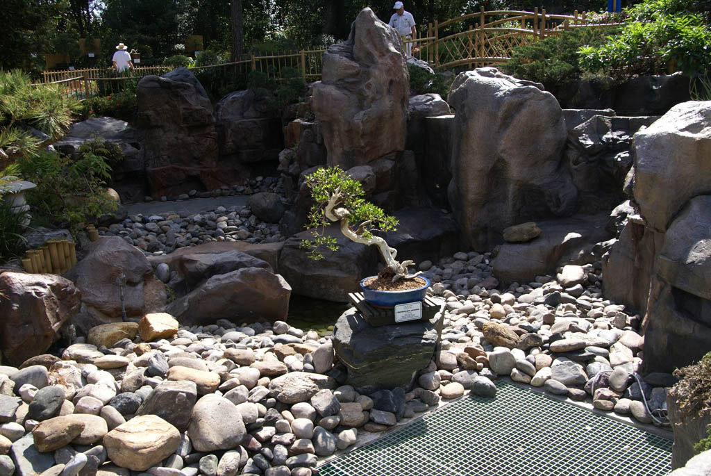 International Flower and Garden Festival