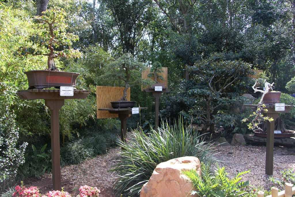 International Flower and Garden Festival