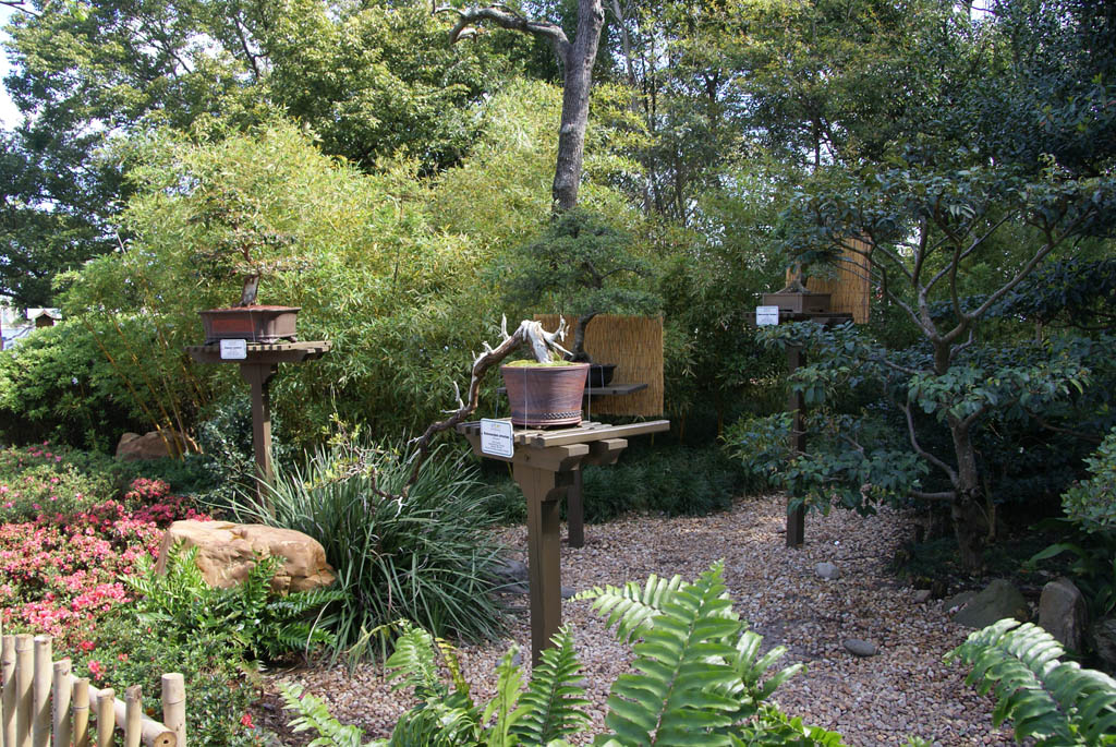 International Flower and Garden Festival