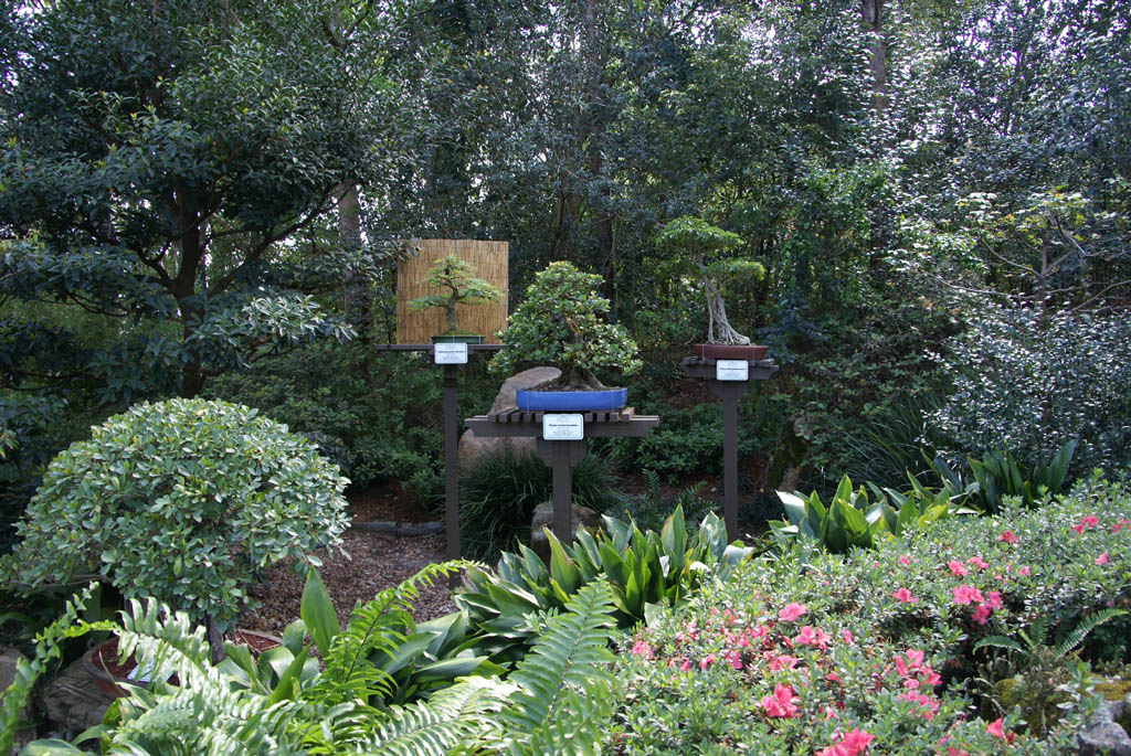 International Flower and Garden Festival