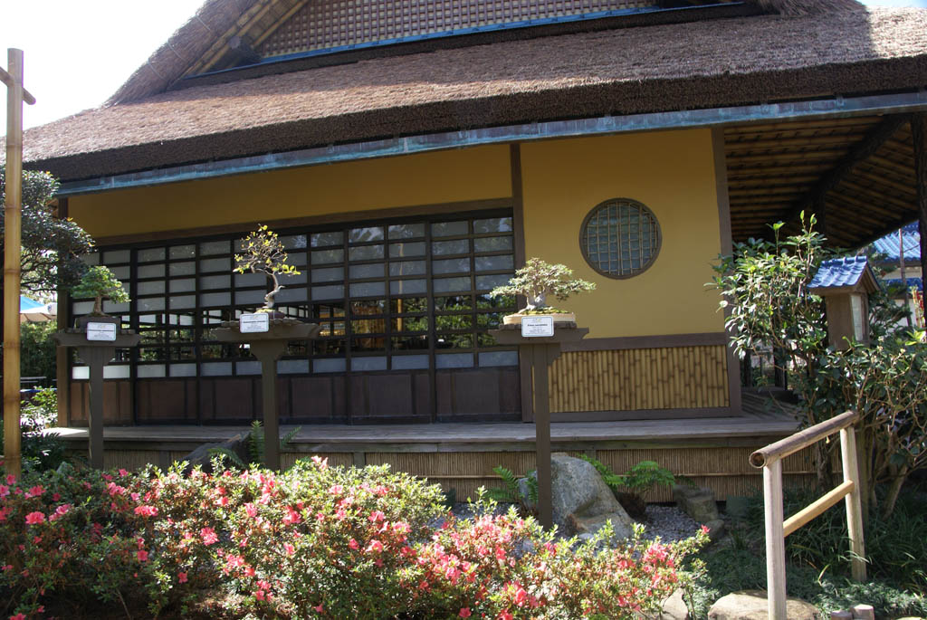 International Flower and Garden Festival