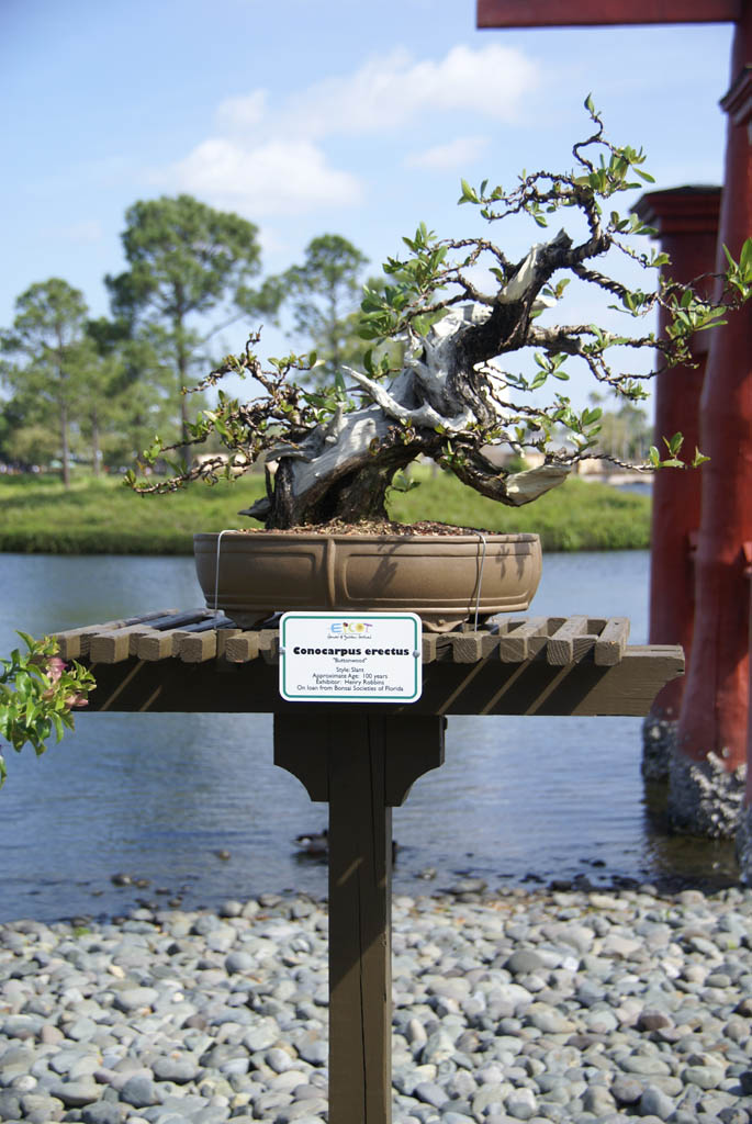 International Flower and Garden Festival