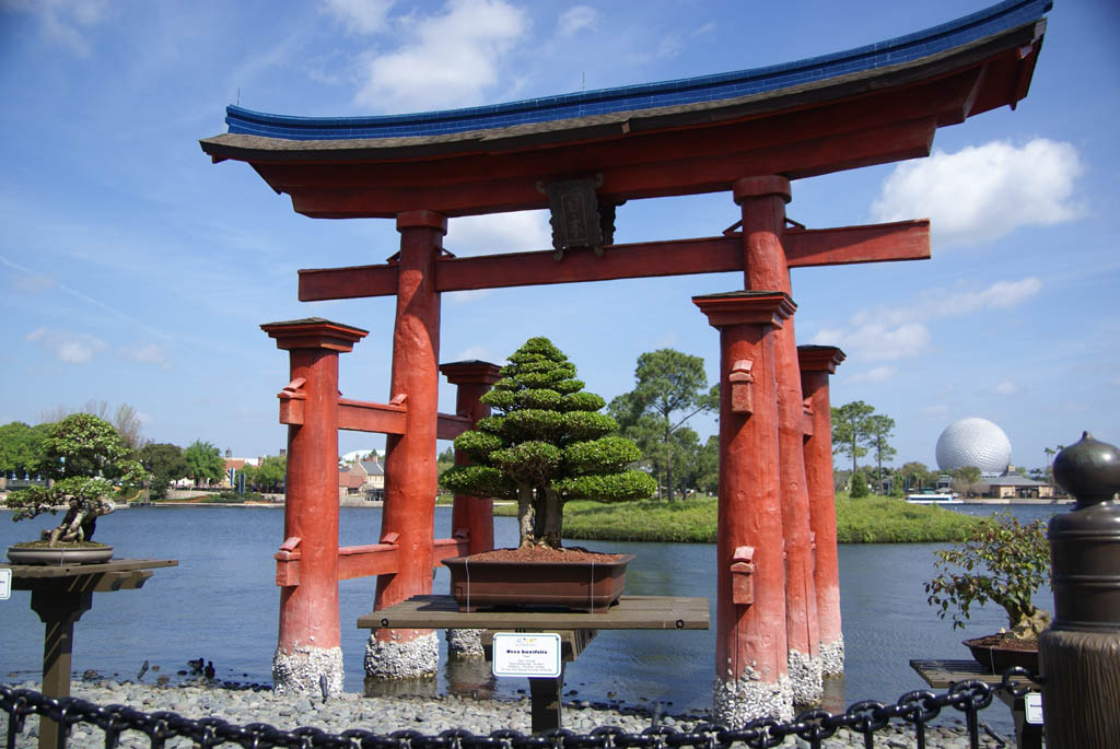 International Flower and Garden Festival