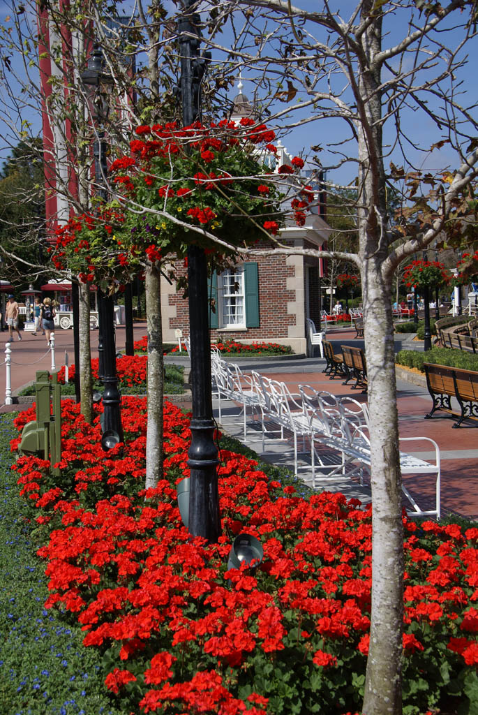 International Flower and Garden Festival