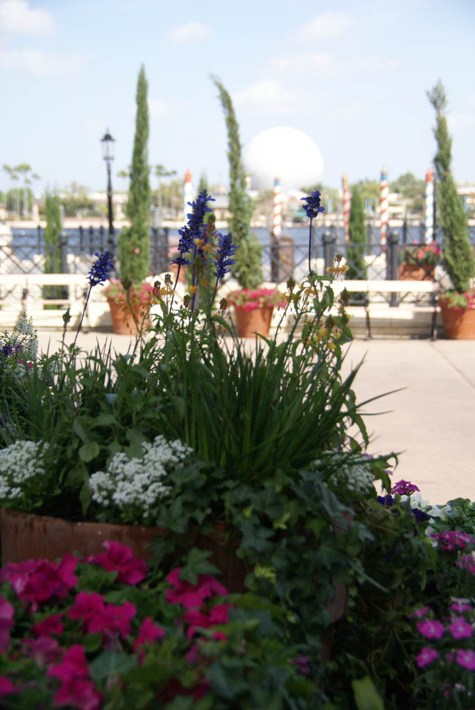 International Flower and Garden Festival