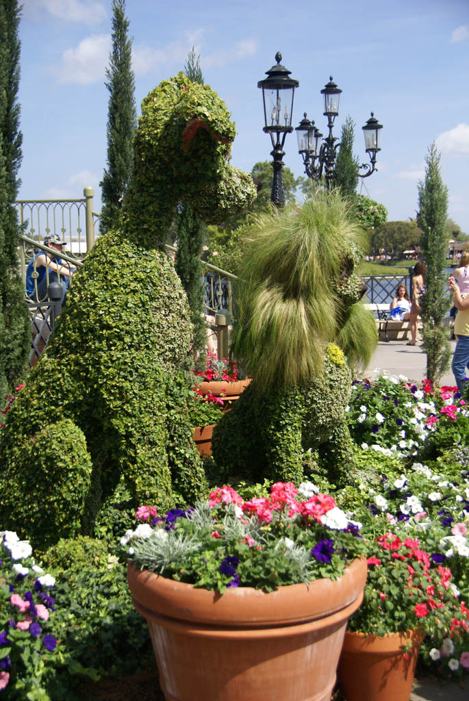 International Flower and Garden Festival