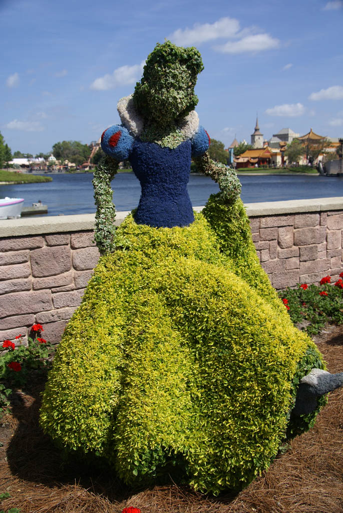 International Flower and Garden Festival
