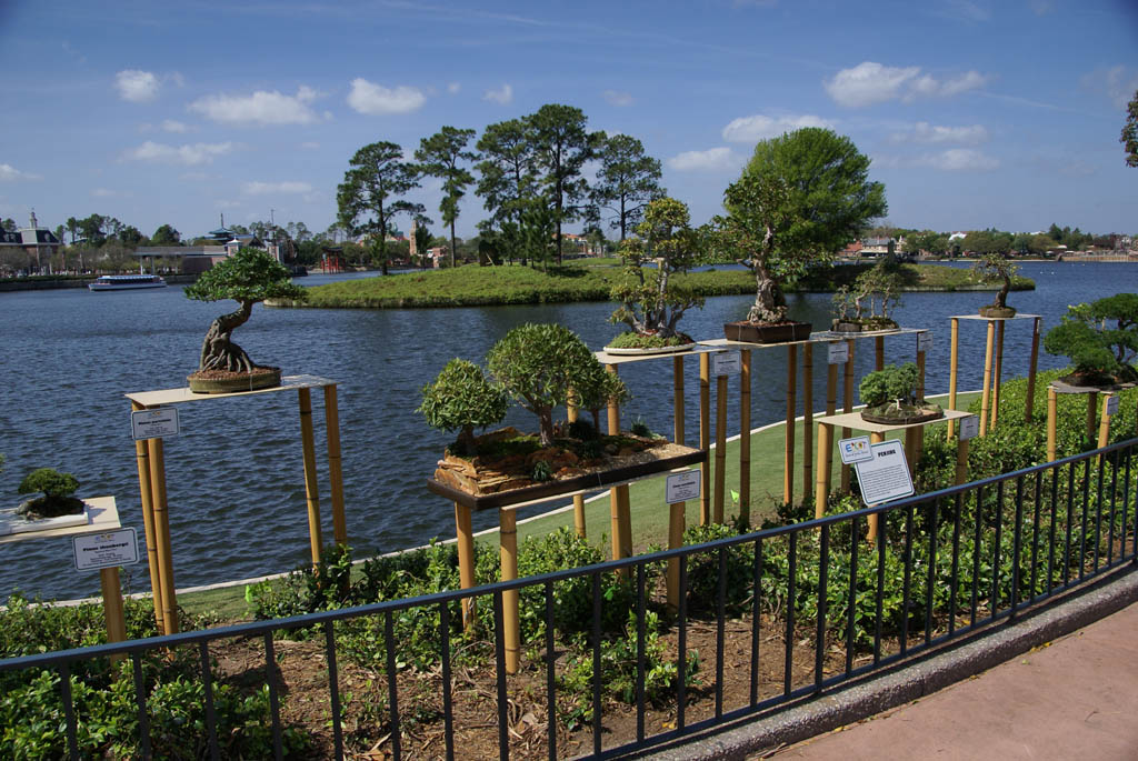 International Flower and Garden Festival