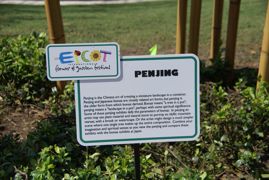 International Flower and Garden Festival