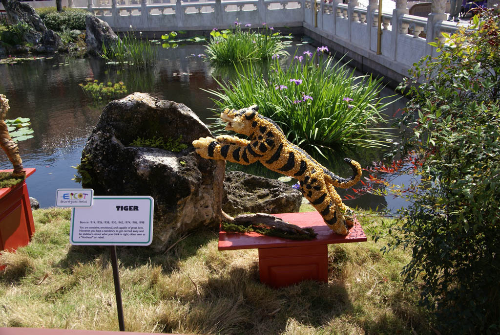 International Flower and Garden Festival