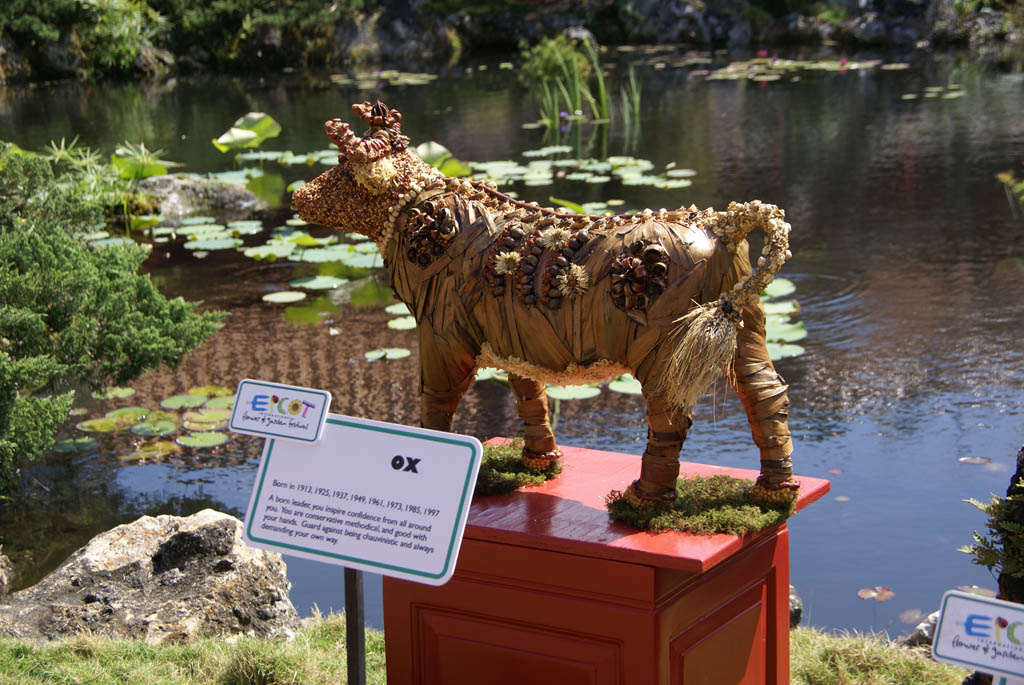 International Flower and Garden Festival