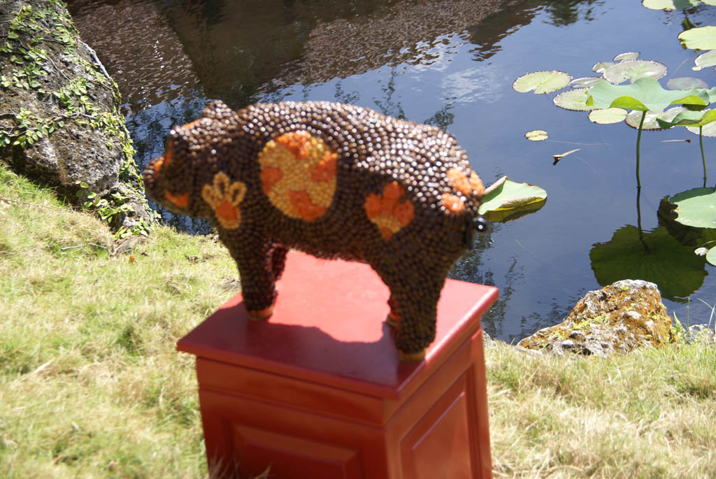 International Flower and Garden Festival