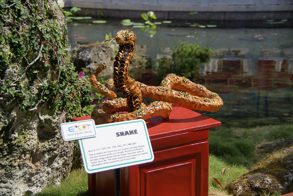 International Flower and Garden Festival