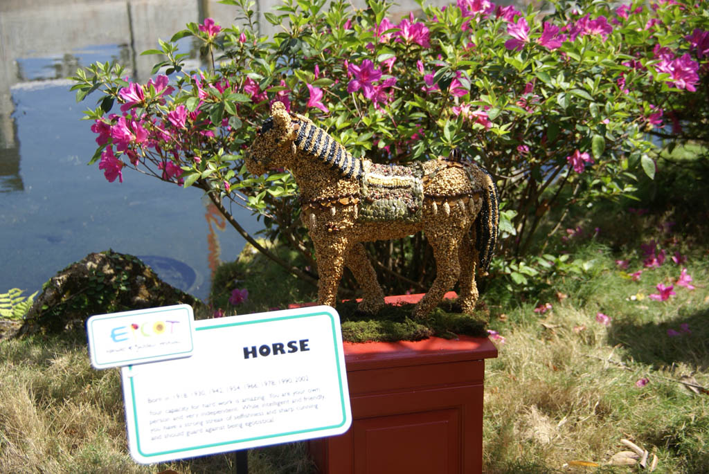 International Flower and Garden Festival